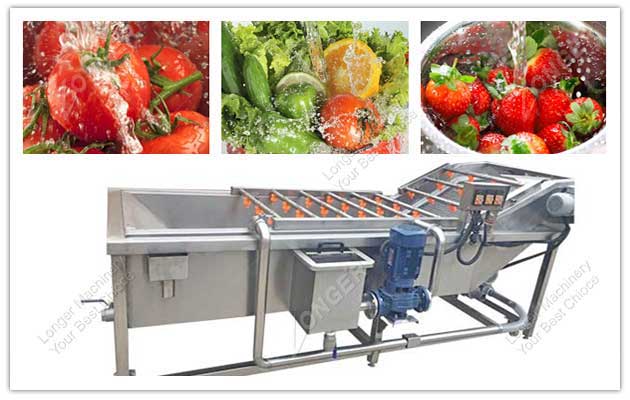 Automatic Vegetable and Fruit Washing Machine