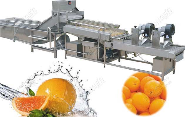 Vegetable Washing and Drying Line Industrial