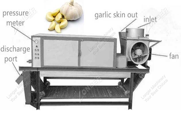 Garlic peeling machine for removing garlic clove skin