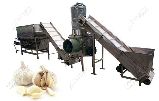 How Do We Peel Garlic Commercially?
